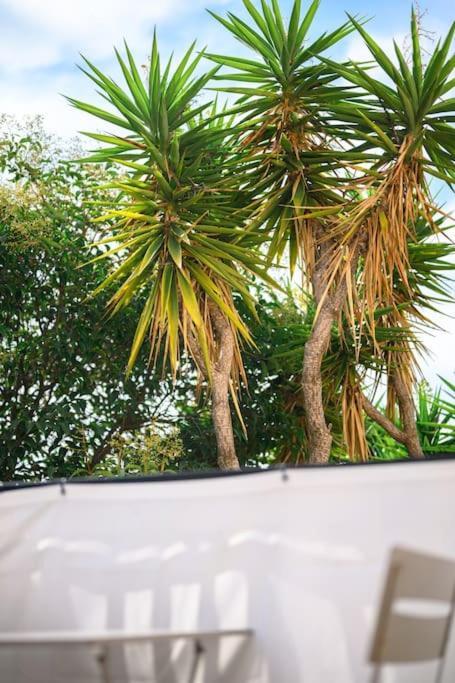 La Julia - Calme - Spacieux - Parking Prive - Climatisation Appartement *